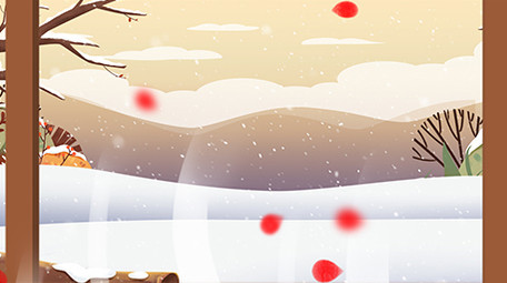 腊八节唯美片头AE模板