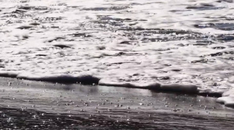 自然海洋唯美阳光下的沙滩海浪风景实拍