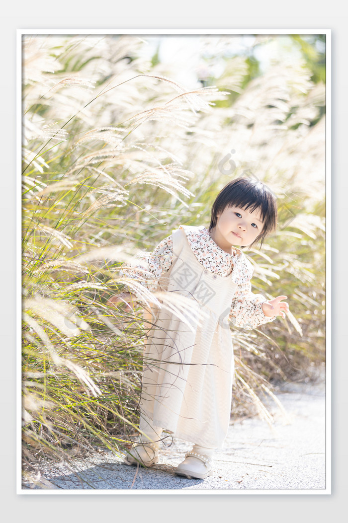 秋天芦苇的小女孩儿童图片图片