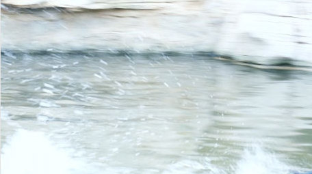 鸬鹚戏水捕鱼鱼鹰大鸟猎手起飞飞翔动物实拍