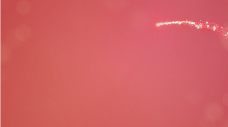 情人节唯美片头AE模板