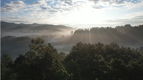 航拍5K自然森林早晨大山风光视频
