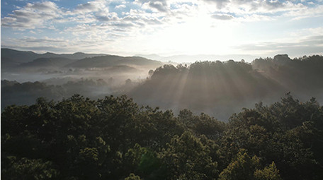 航拍5K自然森林早晨大山风光视频