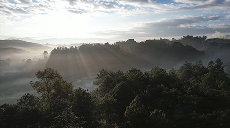 航拍5K自然森林早晨大山风光视频