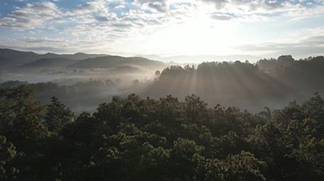 航拍5K自然森林早晨大山风光视频