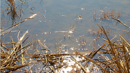 自然水面波光粼粼阳光倒影唯美意境4K素材