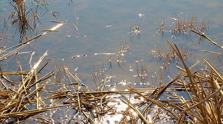 自然水面波光粼粼阳光倒影唯美意境4K素材