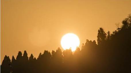 自然风光森林日出特写延时