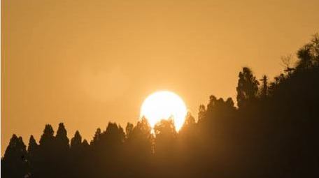 自然风光森林日出特写延时