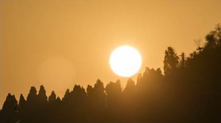 自然风光森林日出特写延时