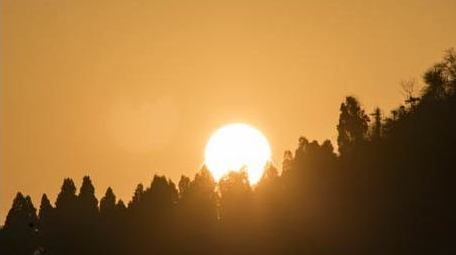 自然风光森林日出特写延时