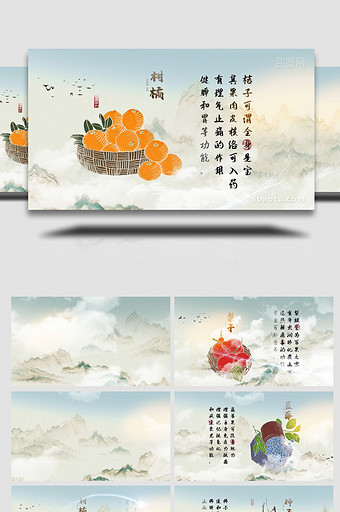 中国传统秋季水果食疗养生宣传水墨AE模板图片