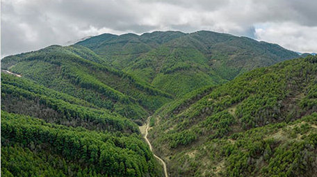 自然大气山脉森林天空4K延时视频