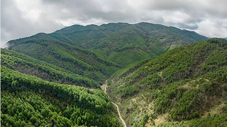 自然大气山脉森林天空4K延时视频