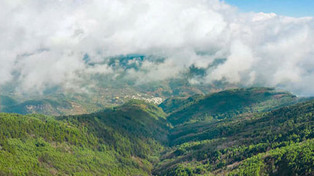 自然大气山脉森林天空4K延时视频