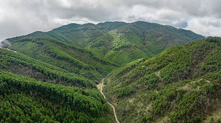自然大气山脉森林天空4K延时视频