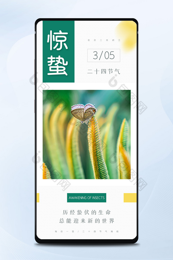 简约大气清新24节气春天蝴蝶惊蛰日签图片图片