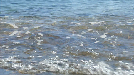 自然海洋实拍唯美小清新大海海鸥视频素材