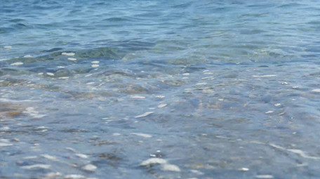 自然海洋实拍唯美小清新大海海鸥视频素材