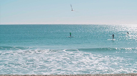 自然海洋实拍唯美小清新大海海鸥视频素材