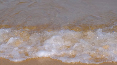 沙滩贝壳海边浪花波浪大海自然海洋实拍