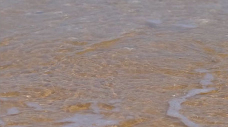 沙滩贝壳海边浪花波浪大海自然海洋实拍