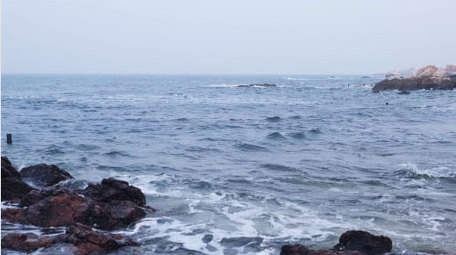 海水礁石海边浪花波浪大海海洋自然海洋实拍