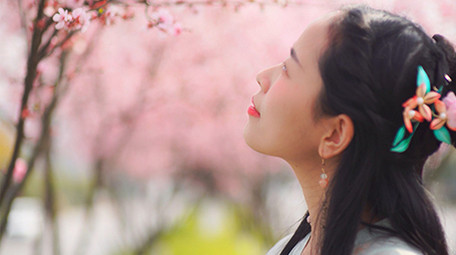 自然实拍唯美春天汉服美女樱花树下4K