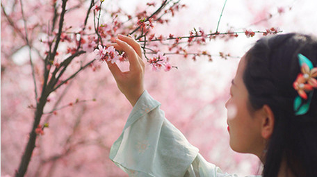 自然实拍唯美春天汉服美女闻樱花4K