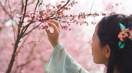 自然实拍唯美春天汉服美女闻樱花4K
