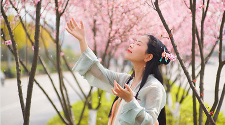 自然实拍春天汉服美女看着空中飘动樱花瓣