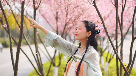 自然实拍春天汉服美女看着空中飘动樱花瓣