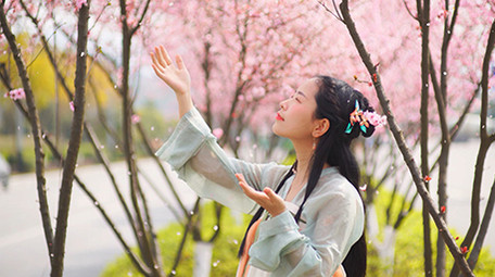 自然实拍春天汉服美女看着空中飘动樱花瓣