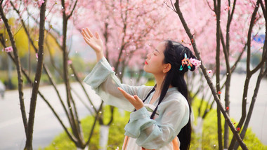 自然实拍春天汉服美女看着空中飘动樱花瓣