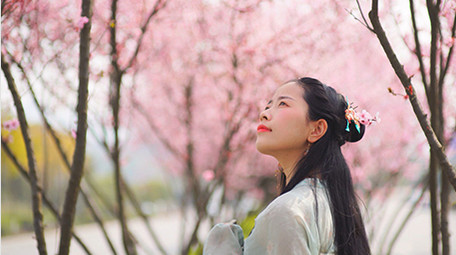 自然实拍春天汉服美女看着漫天樱花4K