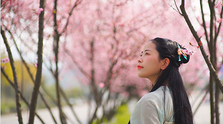 自然实拍春天汉服美女看着漫天樱花4K