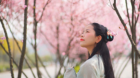 自然实拍春天汉服美女看着漫天樱花4K