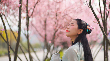 自然实拍春天汉服美女看着漫天樱花4K