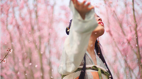 自然实拍汉服美女开心的抓樱花花瓣
