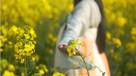 自然实拍田园油菜花汉服美女4K