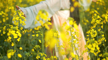 自然实拍田园油菜花汉服美女4K