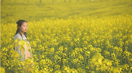 自然实拍春天田园油菜花汉服美女4K
