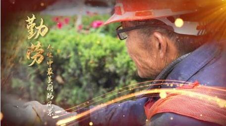 五一劳动节人物楷模宣传片头PR模板