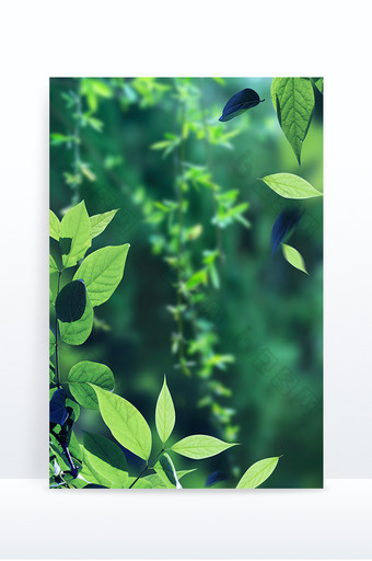 春天绿色底纹植物绿植背景图片