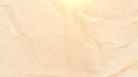 大气党政图文展示金色标题PR模板