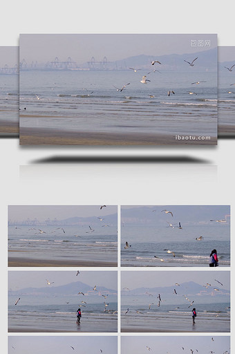 海鸥盘旋蔚蓝大海喂食喂鸟海滩自然海洋实拍图片