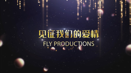 婚礼婚庆金色图文AE模板