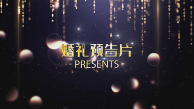 婚礼婚庆金色图文AE模板