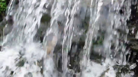 自然唯美山间溪流流水水流空镜实拍