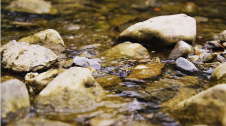 自然唯美小溪溪水流淌风光实拍